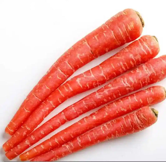 Red Carrot