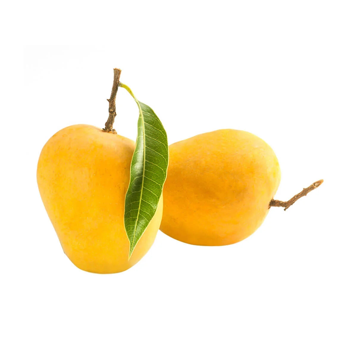 Alphonso Mango