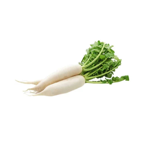 Radish (Mooda)