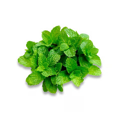 Mint Leaves