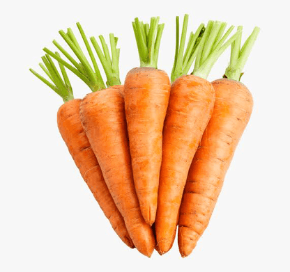 Orange Carrot (Gajar)
