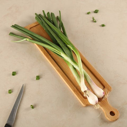 Spring Onion (Lili Dungdi)