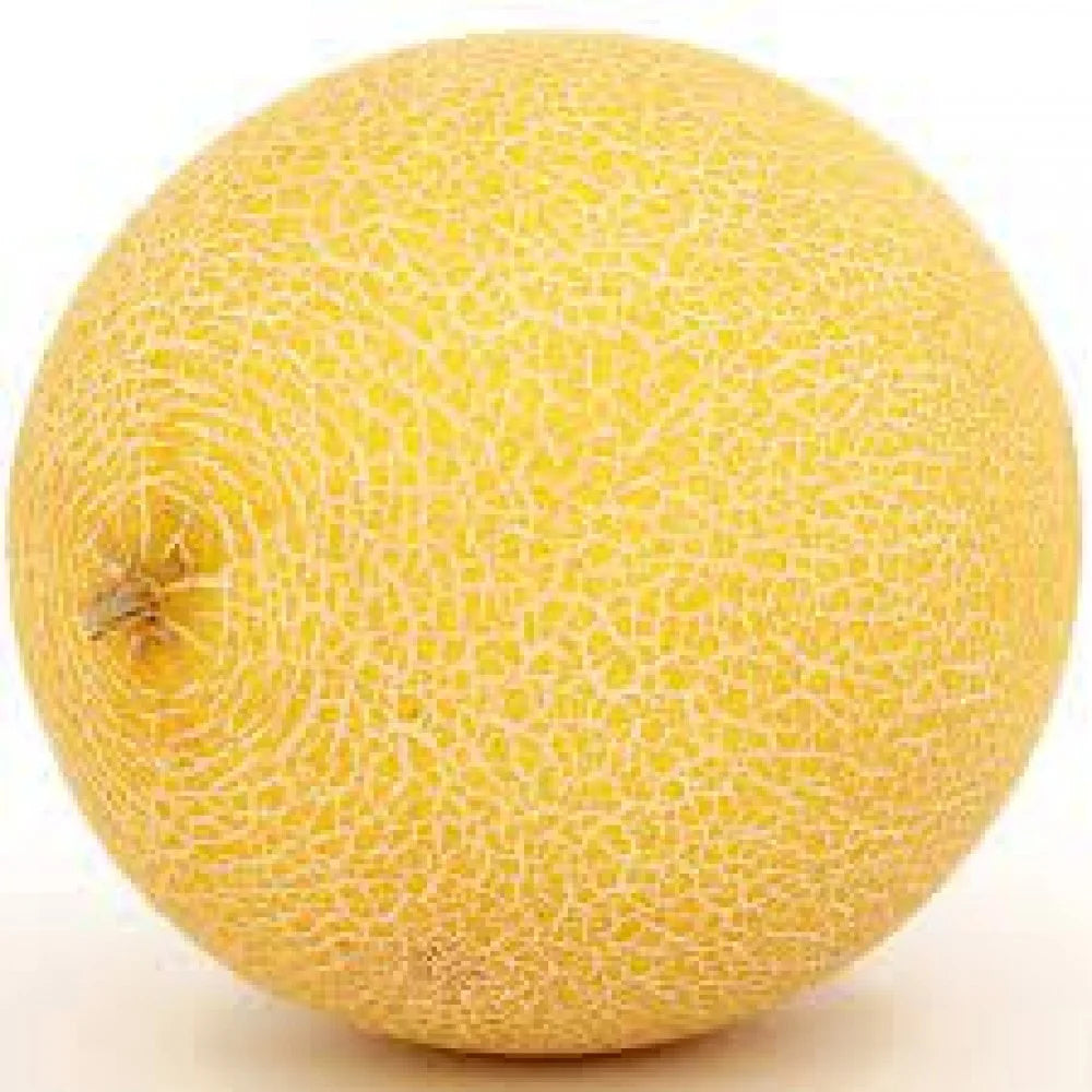 Muskmelon