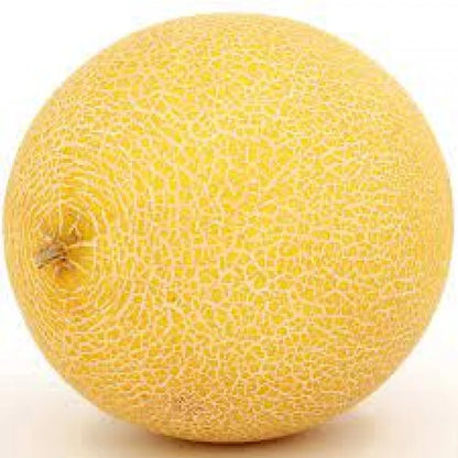 Muskmelon
