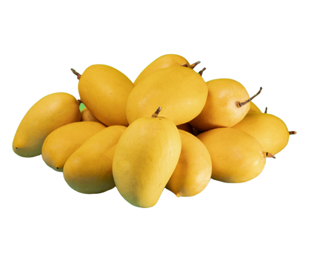 Kesar Mango