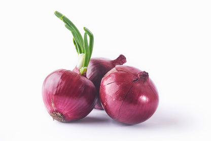 Onion (Dungdi)