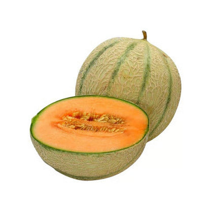 Striped Muskmelon